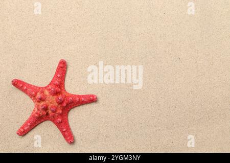 Étoile de mer rouge sur fond de sable. Cadre. Banque D'Images