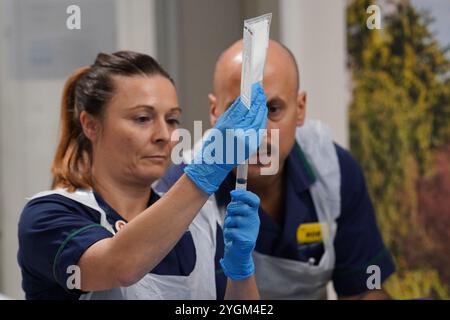 Nicole Prescott et Rob McDonnell, animatrices de pratique clinique senior, se préparent à administrer un traitement RÉVOLUTIONNAIRE par perfusion CAR T pour le lupus à la patiente Katie Tinkler de l'University College London Hospital à Londres. Trois patients au Royaume-Uni ont reçu un traitement « révolutionnaire » pour le lupus sur le NHS, qui, selon les experts, pourrait éradiquer le besoin de médicaments à vie. Jusqu'à présent, la thérapie par les cellules T CAR agit en modifiant génétiquement le propre système immunitaire du corps pour reconnaître et attaquer les cellules problématiques, offrant aux gens un remède possible. Date de la photo : mercredi 6 novembre 2024. Banque D'Images