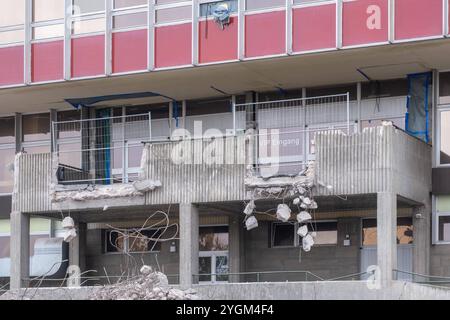 Die Abrissarbeiten an der Haupttribüne am Stadion im Friedrich-Ludwig-Jahn-Sportpark in Berlin-Prenzlauer Berg gehen weiter. Trotz Widerstand von Architekten und Anwohnern, beschloss der Berliner Senat den Abriss des Stadions und einen Neubau. / Les travaux de démolition de la tribune principale du stade Friedrich-Ludwig-Jahn-Sportpark à Berlin-Prenzlauer Berg se poursuivent. Malgré l'opposition des architectes et des résidents, le Sénat de Berlin a décidé de démolir le stade et d'en construire un nouveau. Friedrich-Ludwig-Jahn-Sportpark - Abrissarbeiten *** démolition de la tribune principale du stade de Friedri Banque D'Images