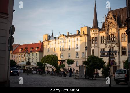 L'hôtel de ville historique de Zabkowice Slaskie, en Pologne, présente une architecture élégante et une tour de l'horloge, symbole du riche héritage de la ville Banque D'Images