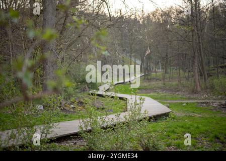 Un sentier en bois et une arche dans le parc de Karpacz, en Pologne, entouré d'une verdure vibrante, invitant les visiteurs à s'immerger dans la beauté de la nature. Banque D'Images