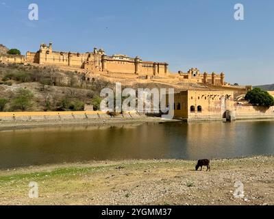 Paysage paisible et serein situé à côté du fort d'Amber, Jaipur, Inde Banque D'Images