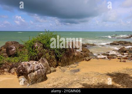 Plage tropicale vide avec des plantes vertes et de grosses pierres, vue sur le sable jaune et la mer bleue. Fond pour voyager et se détendre sur la nature paradisiaque Banque D'Images