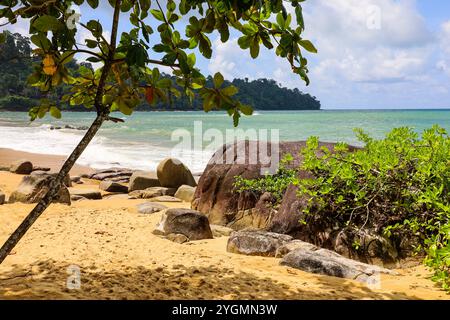 Plage tropicale vide avec des plantes vertes et de grosses pierres, vue sur le sable jaune et la mer. Fond pour voyager et se détendre sur la nature paradisiaque Banque D'Images