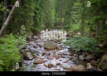 Une rivière forestière coule de la cascade de Kamieńczyk, serpentant à travers une végétation luxuriante dans un cadre montagneux serein. Banque D'Images