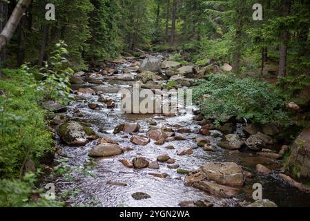 Une rivière forestière coule de la cascade de Kamieńczyk, serpentant à travers une végétation luxuriante dans un cadre montagneux serein. Banque D'Images
