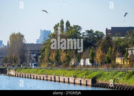 Rives vertes du canal dans la zone industrielle de Neder sur Heembeek, région de Bruxelles-capitale, Belgique Banque D'Images