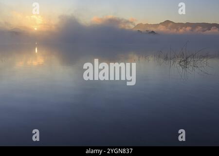 Ambiance matinale, brouillard, lac, lever de soleil, montagnes, silence, tranquillité, Staffelsee, Murnau, contreforts alpins, Bavière, Allemagne, Europe Banque D'Images