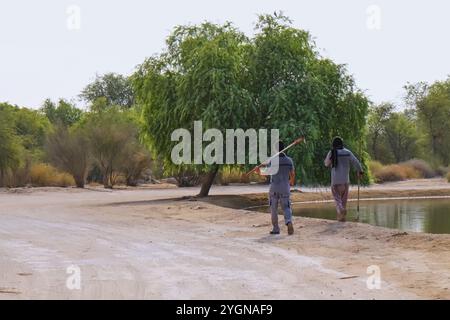 Vue arrière de deux travailleurs du sanctuaire marchant le long du lac après inspection, lacs Al Qudra, réserve de conservation Al Marmoom Banque D'Images