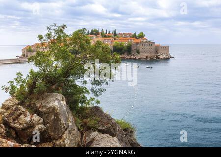 Sveti Stefan île au Monténégro station balnéaire à la mer Adriatique, pin sur le rocher. Destination de voyage célèbre Banque D'Images