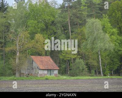 Ancienne cabane dans une forêt dense avec un toit rouge, entourée de grands arbres, ahaus, muensterland, allemagne Banque D'Images