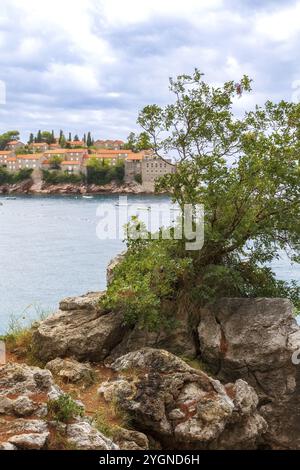 Sveti Stefan île au Monténégro station balnéaire à la mer Adriatique, pin sur le rocher. Destination de voyage célèbre Banque D'Images
