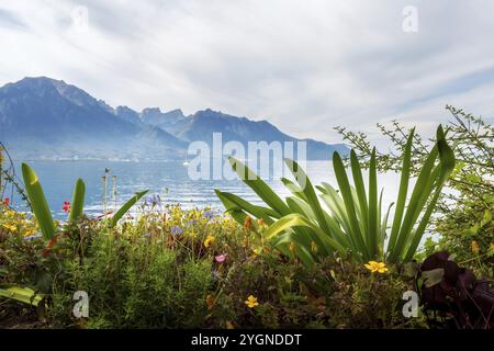 Vue panoramique sur le lac de Genève, Suisse de Montreux, promenade avec des fleurs colorées et d'arbres Banque D'Images
