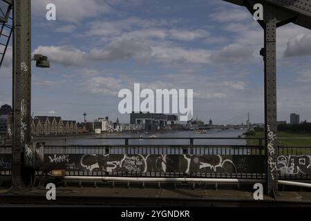 Cathédrale, Rheinauhafen, South Bridge, Cologne, Rhénanie du Nord-Westphalie, du pont Sud à Laura-Oelbermann-Promenade, Agrppinawerft, grue Banque D'Images