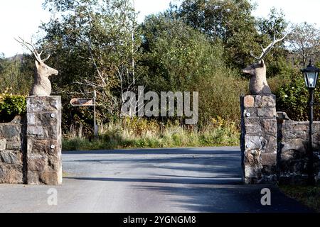 sculptures de pilier de porte de tête de cerfs à une entrée du domaine de glenveagh parc national de glenveagh, comté de donegal, république d'irlande Banque D'Images