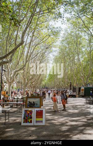 Perpignan, France - 24 août 2024 : marché aux puces dans le parc public de Perpigan, Pyrénées Orientales Banque D'Images