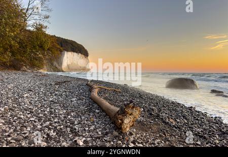 Les falaises de craie de Rügen sont éclairées par le soleil avec une plage de pierre et un tronc d'arbre au premier plan Banque D'Images