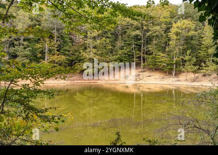 Voir Laghetto Falascone d'Umbra im Gargano-Nationalpark, Gargano, Apulien, Italien, Europa | le lac d'Umbra Laghetto Falascone d'Umbra à Gargano Banque D'Images