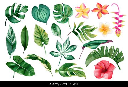 Ensemble de fleurs tropicales et de feuilles. Aquarelle illustration dessinée à la main Banque D'Images