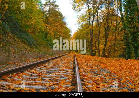 Paysage pittoresque de voies ferrées s'étendant au loin dans la forêt d'automne. Banque D'Images