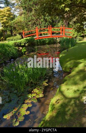 Irlande, comté de Kildare, haras et jardins nationaux irlandais de Tully, jardin japonais Banque D'Images