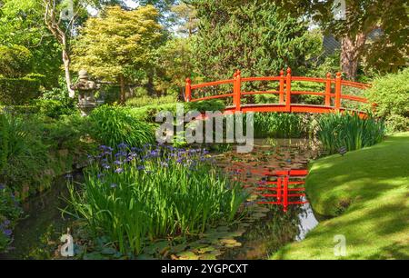 Irlande, comté de Kildare, Tully, haras et jardins nationaux irlandais, jardin japonais Banque D'Images