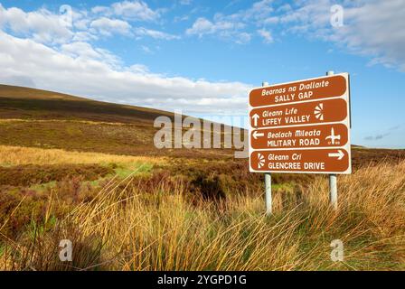 Comté d'Irlande Wicklow Mountains Sally Gap, panneau routier en gaélique irlandais et anglais Banque D'Images