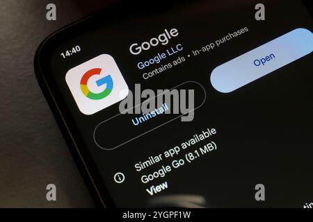 8 novembre 2024, Brésil. Dans cette illustration photo, le logo de l'application Google est affiché sur l'écran d'un smartphone. Banque D'Images