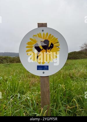 Maintenant aussi connu sous le nom de Bee Town. La ville de Monmouth, dans le sud du pays de Galles, est devenue un refuge pour la faune et la flore sauvages avec des bordures de route laissées intactes Banque D'Images