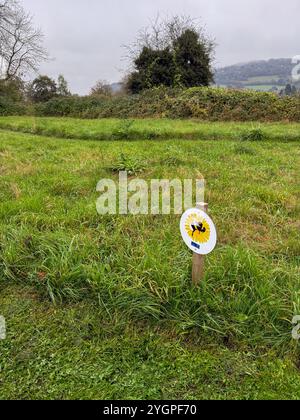 Maintenant aussi connu sous le nom de Bee Town. La ville de Monmouth, dans le sud du pays de Galles, est devenue un refuge pour la faune et la flore sauvages avec des bordures de route laissées intactes Banque D'Images