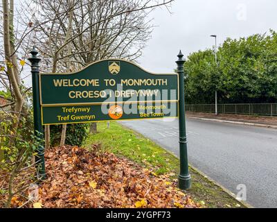 Maintenant aussi connu sous le nom de Bee Town. La ville de Monmouth, dans le sud du pays de Galles, est devenue un refuge pour la faune et la flore sauvages avec des bordures de route laissées intactes Banque D'Images