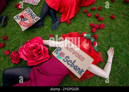 Londres, Royaume-Uni, 8 novembre 2024. Les activistes climatiques de Fossil Free London organisent une mort devant les chambres du Parlement le 8 novembre 2024 pour appeler le gouvernement à arrêter le champ pétrolier de Rosebank. La décision d'approuver ce champ pétrolier est contestée devant les tribunaux par Uplift et Greenpeace, à partir du 12 novembre 2024. Crédit : James Willoughby/ALAMY Live News Banque D'Images