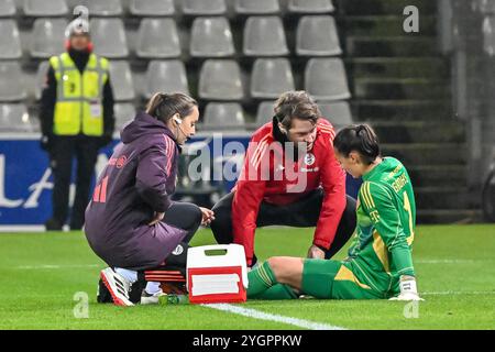 Maria-Luisa Grohs (FC Bayern Muenchen, #01) ist verletzt und wird behandelt vom staff. GER, SC Freiburg - FC Bayern Muenchen, Frauen-Fussball, Google Pixel Frauen-Bundesliga, 9. Spieltag, saison 2024/2025, 08.11.2024 LA RÉGLEMENTATION DFB INTERDIT TOUTE UTILISATION DE PHOTOGRAPHIES COMME SÉQUENCES D'IMAGES ET/OU QUASI-VIDÉO Foto : Eibner-Pressefoto/Thomas Hess Banque D'Images