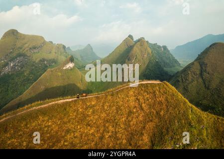 Vue aérienne de la belle colline d'herbe de Ba Guang, chaîne de montagnes avec brouillard et villageois apportant cheval à paître sur la montagne dans la matinée à Ha Lang, Banque D'Images