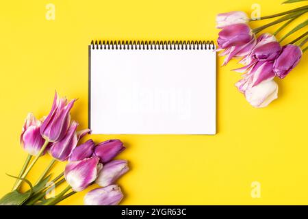 Cahier avec une page propre avec des fleurs de tulipes violettes sur fond jaune. Fond coloré de fleur de printemps avec espace pour le texte. Design décoratif tendance nature. Pose à plat. Banque D'Images