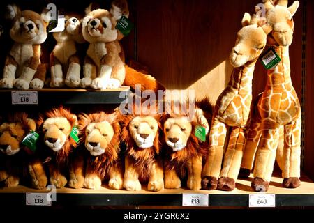 Peluches Lion, girafe et renard fennec exposées dans une boutique de cadeaux du Natyral History Museum, Londres. Banque D'Images