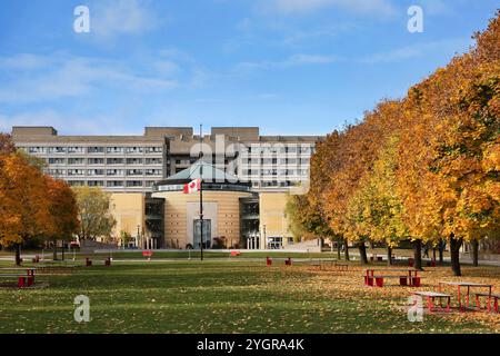 Toronto, Canada - 8 novembre 2024 : Université York à Toronto, avec des arbres aux couleurs d'automne brillantes, Ross Humanities Building et Vari Hall Banque D'Images