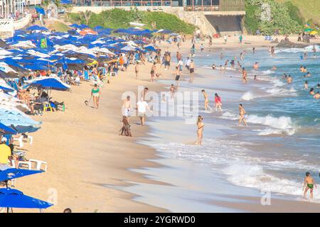 Salvador, Bahia, Brésil - 09 novembre 2019 : on voit des touristes s'amuser et se baigner dans la mer sur la plage. Ville de Salvador, Bahia. Banque D'Images