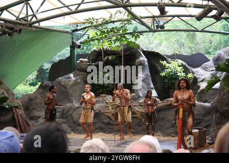 Hommes indigènes australiens pendant la danse cérémonielle, les cérémonies combinent danse, chant, rituels, décorations corporelles et costumes. Banque D'Images