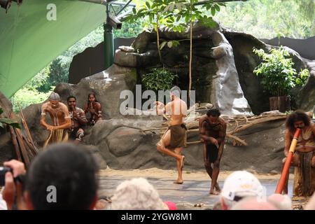 Hommes indigènes australiens pendant la danse cérémonielle, les cérémonies combinent danse, chant, rituels, décorations corporelles et costumes. Banque D'Images