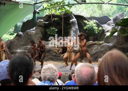 Hommes indigènes australiens pendant la danse cérémonielle, les cérémonies combinent danse, chant, rituels, décorations corporelles et costumes. Banque D'Images