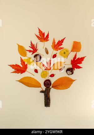 Arbre d'automne créatif fait avec des laeves jaunes tombés et des noix. Pose à plat minimale. Concept nature. Banque D'Images