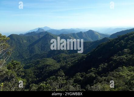 Rio de Janeiro, Brésil, 15 septembre 2024. Vue sur la réserve biologique de Tinguá, depuis la colline de Boné, dans la région montagneuse de l'état de Rio d Banque D'Images