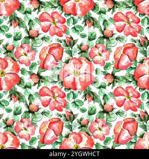 Motif aquarelle sans couture avec fleurs de rose sauvage corail dessinées à la main pour votre impression et votre conception textile. fleurs et bourgeons écarlate, feuilles de rose musquée vertes Banque D'Images