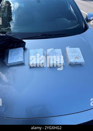 Le mercredi 6 novembre 2024, vers 11 heures du matin, un soldat de l'État de l'Oregon a arrêté un véhicule sur l'Interstate 5 en direction nord dans le comté de Douglas pour des infractions à la circulation. Pendant l'arrêt, le soldat a observé des signes d'activité criminelle possible et a demandé à fouiller le véhicule. La perquisition du véhicule a permis de découvrir 9,2 livres de poudre de fentanyl. Banque D'Images