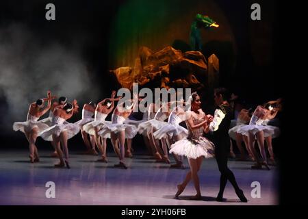 Mexico, Mexique. 09 novembre 2024. Les danseurs de la National Dance Company se produisent sur scène lors d'une répétition de la chorégraphie du lac des cygnes de Cuauhtémoc Nájera, basée sur Marius Petipa et Lev Ivanov. Au Palacio de Bellas Artes. Le 8 novembre 2024 à Mexico, Mexique. (Photo de Carlos Santiago/ crédit : Eyepix Group/Alamy Live News Banque D'Images