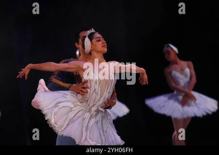 Mexico, Mexique. 08 novembre 2024. Les danseurs de la National Dance Company se produisent sur scène lors d'une répétition de la chorégraphie du lac des cygnes de Cuauhtémoc Nájera, basée sur Marius Petipa et Lev Ivanov. Au Palacio de Bellas Artes. Le 8 novembre 2024 à Mexico, Mexique. (Photo de Carlos Santiago/ crédit : Eyepix Group/Alamy Live News Banque D'Images