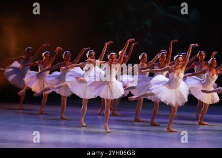 Mexico, Mexique. 08 novembre 2024. Les danseurs de la National Dance Company se produisent sur scène lors d'une répétition de la chorégraphie du lac des cygnes de Cuauhtémoc Nájera, basée sur Marius Petipa et Lev Ivanov. Au Palacio de Bellas Artes. Le 8 novembre 2024 à Mexico, Mexique. (Photo de Carlos Santiago/ crédit : Eyepix Group/Alamy Live News Banque D'Images