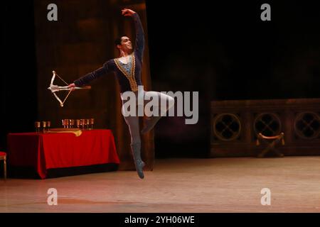 Mexico, Mexique. 08 novembre 2024. Les danseurs de la National Dance Company se produisent sur scène lors d'une répétition de la chorégraphie du lac des cygnes de Cuauhtémoc Nájera, basée sur Marius Petipa et Lev Ivanov. Au Palacio de Bellas Artes. Le 8 novembre 2024 à Mexico, Mexique. (Photo de Carlos Santiago/ crédit : Eyepix Group/Alamy Live News Banque D'Images