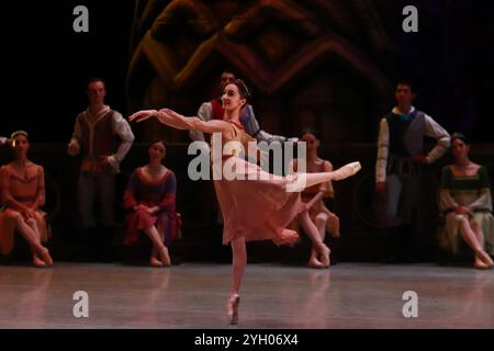 Mexico, Mexique. 08 novembre 2024. Les danseurs de la National Dance Company se produisent sur scène lors d'une répétition de la chorégraphie du lac des cygnes de Cuauhtémoc Nájera, basée sur Marius Petipa et Lev Ivanov. Au Palacio de Bellas Artes. Le 8 novembre 2024 à Mexico, Mexique. (Photo de Carlos Santiago/ crédit : Eyepix Group/Alamy Live News Banque D'Images